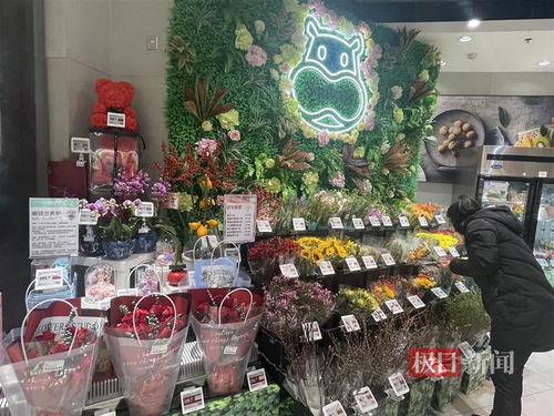 鮮花消費(fèi)日?；厔菝黠@，武漢時令春花綻放新商機(jī)